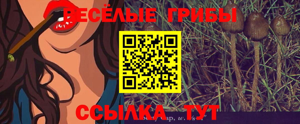Клин  Галлюциногенные грибы GOLDEN TEACHER  Вход с VPN 