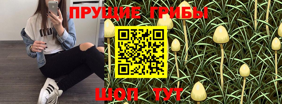 Галлюциногенные грибы Cubensis Клин