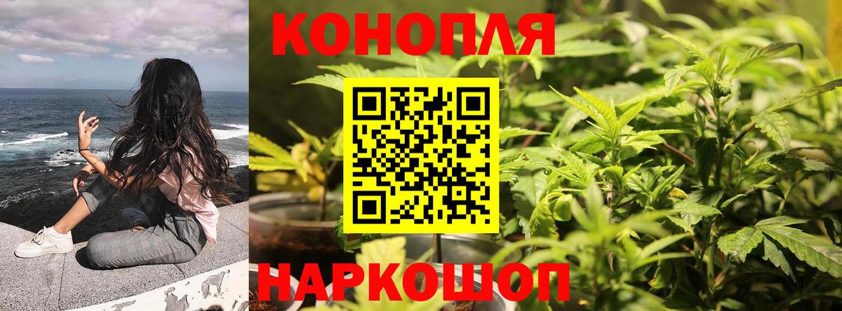 Клин  МАРИХУАНА тримм  Вход с VPN  Конопля White Widow  Канабис план 